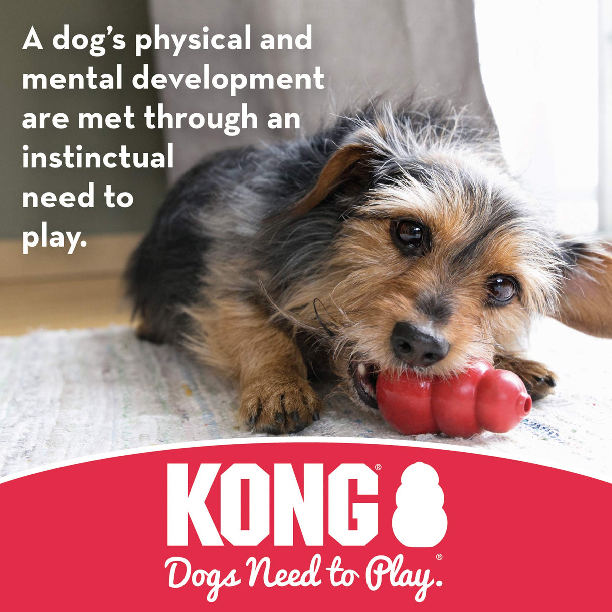 KONG Stuff-A-Ball - Durable Chew Toy for Dogs - Natural Rubber Dog Toy for Dental Health - Pet Toy for Chewing & Teeth Cleaning - Stuffable Toy for Dog Treats & Snacks - for Medium Dogs