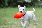 Jolly Dog Football 8-Green Apple, (Model: JF08 GR), for All Breed Sizes