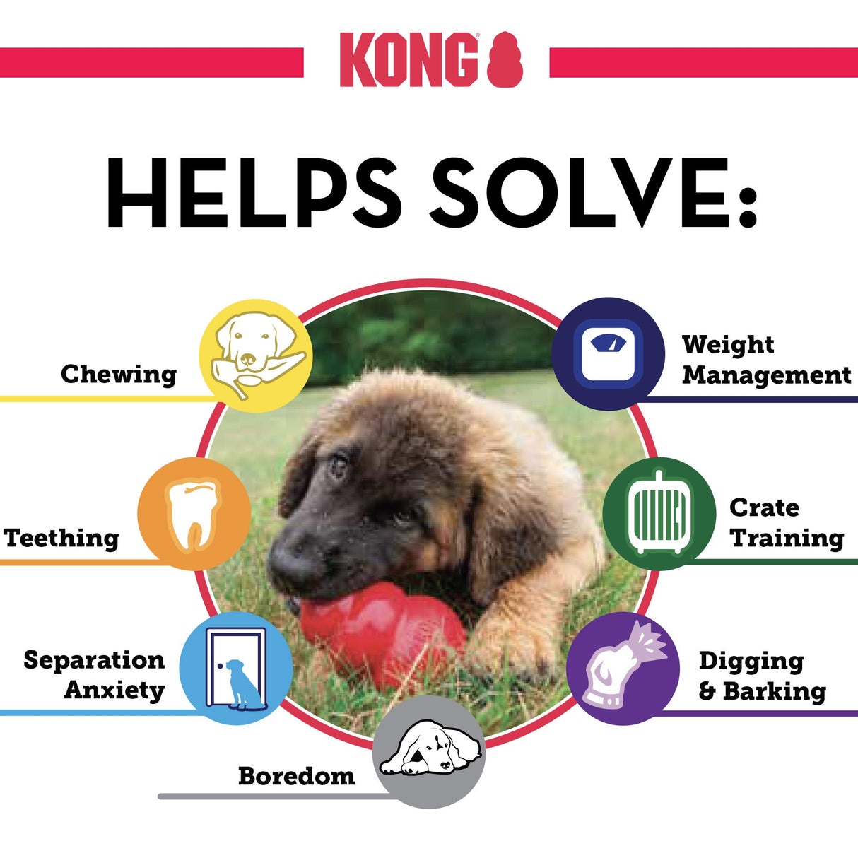 KONG Classic Stuffable Dog Toy - Fetch & Chew Toy for Dogs - Treat-Filling Capabilities & Erratic Bounce for Extended Play Time - Durable Natural Rubber Material - for Medium Dogs