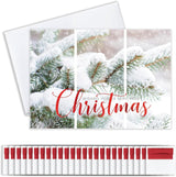 Merry Christmas Cards for Business & Family (Snowy Day) Bulk Greeting Card Set Pack of 25 Holiday Cards with Envelopes (5-5/8 x 7-7/8 inch) Great for Office, Work, Employees & Clients H1702