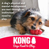 KONG Stuff-A-Ball - Durable Chew Toy for Dogs - Natural Rubber Dog Toy for Dental Health - Pet Toy for Chewing & Teeth Cleaning - Stuffable Toy for Dog Treats & Snacks - for Medium Dogs