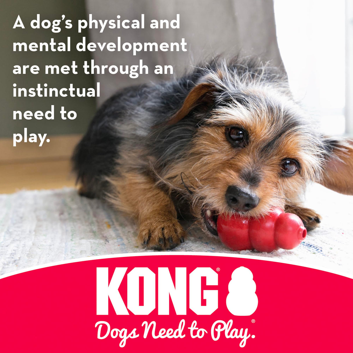 KONG Dental with Rope- for Dog Dental Care - Stuffable Chew Toy - Provides Chewing Outlet & Satisfies Instinctual Needs - Cleans Teeth & Gums - Made with Durable Natural Rubber - for Small Dogs