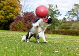 Jolly Pets Tug-n-Toss Heavy Duty Dog Toy Ball with Handle, 8 Inches/Large, Blueberry