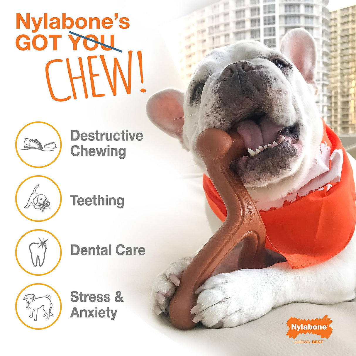 Nylabone Power Chew Classic Bone Chew Toy for Dogs, Durable Dog Toys for Aggressive Chewers, Bacon & Chicken Flavor, Medium/Wolf (2 Count)