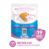 Purina Dentalife Plus Digestive Support Chicken and Pumpkin Flavor Small/Medium Dog Dental Chews - 19 ct. Pouch