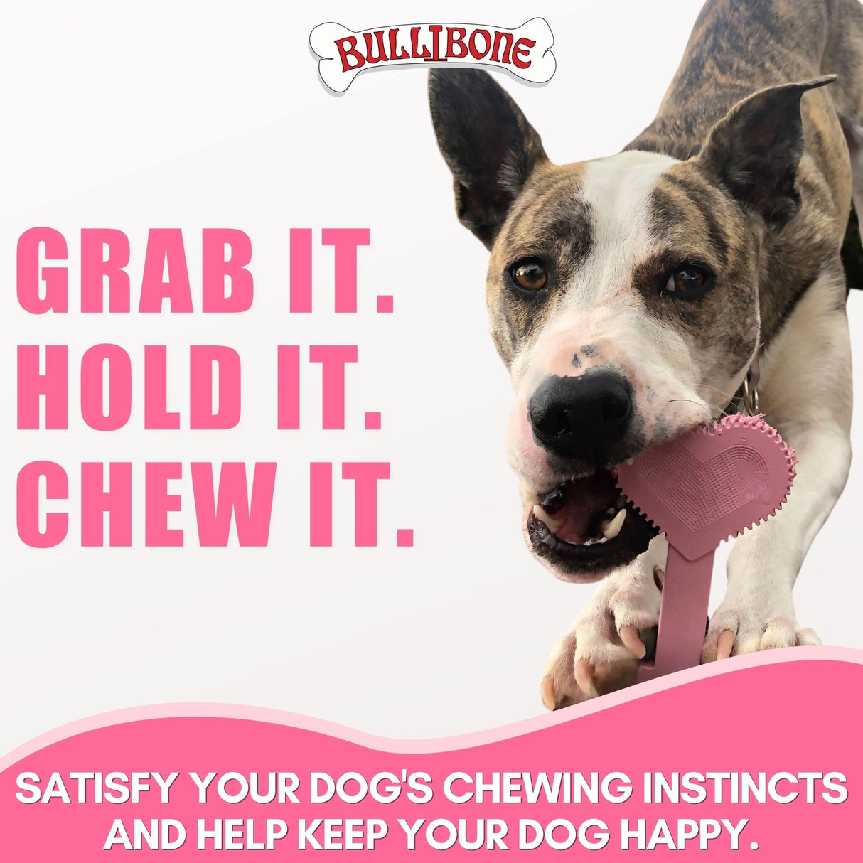 Bullibone Nylon Dog Chew Toy Nylon Bone - Improves Dental Hygiene, Easy to Grip Bottom, and Permeated with Flavor (Bacon, Large - 2 Pack)