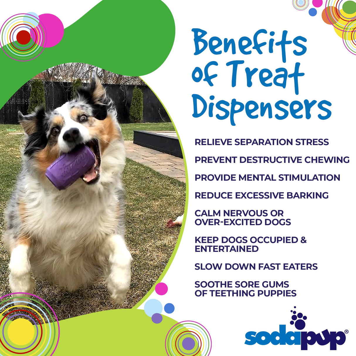 SodaPup Honey Pot – Durable Dog Treat Dispenser & Enrichment Toy Made in USA from Non-Toxic, Pet Safe, Food Safe Natural Rubber Material for Mental Stimulation, Problem Chewing, Calming Nerves, & More