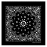 B53 100% Cotton Paisley Bandanas Made in the USA - Stylish Headband, Handkerchief, Scarf - 21 inch x 21 inch