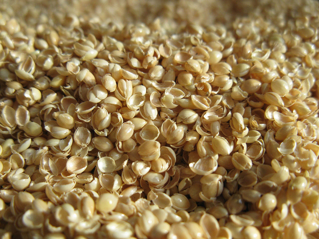 Bean Products Organic Millet Hulls | 100% Organically Grown in The USA | Great for Filling Pillows, Yoga Bolsters, Cushions & More | Chemical Free and Hypoallergenic | 5lbs