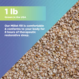 Bean Products Organic Millet Hulls | 100% Organically Grown in The USA | Great for Filling Pillows, Yoga Bolsters, Cushions & More | Chemical Free and Hypoallergenic | 5lbs