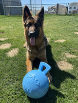 Jolly Pets Tug-n-Toss Heavy Duty Dog Toy Ball with Handle, 8 Inches/Large, Blueberry