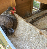 Hemp Chicken and Animal Bedding 8 Lbs of Natural Ground Hurds - SUPER ABSORBENT- DUST FREE- for your CHICKENS, Horse, Rabbit, Reptile, Hamster, Cage Coop or CAT LITTER - USA Grown - Carbon Negative